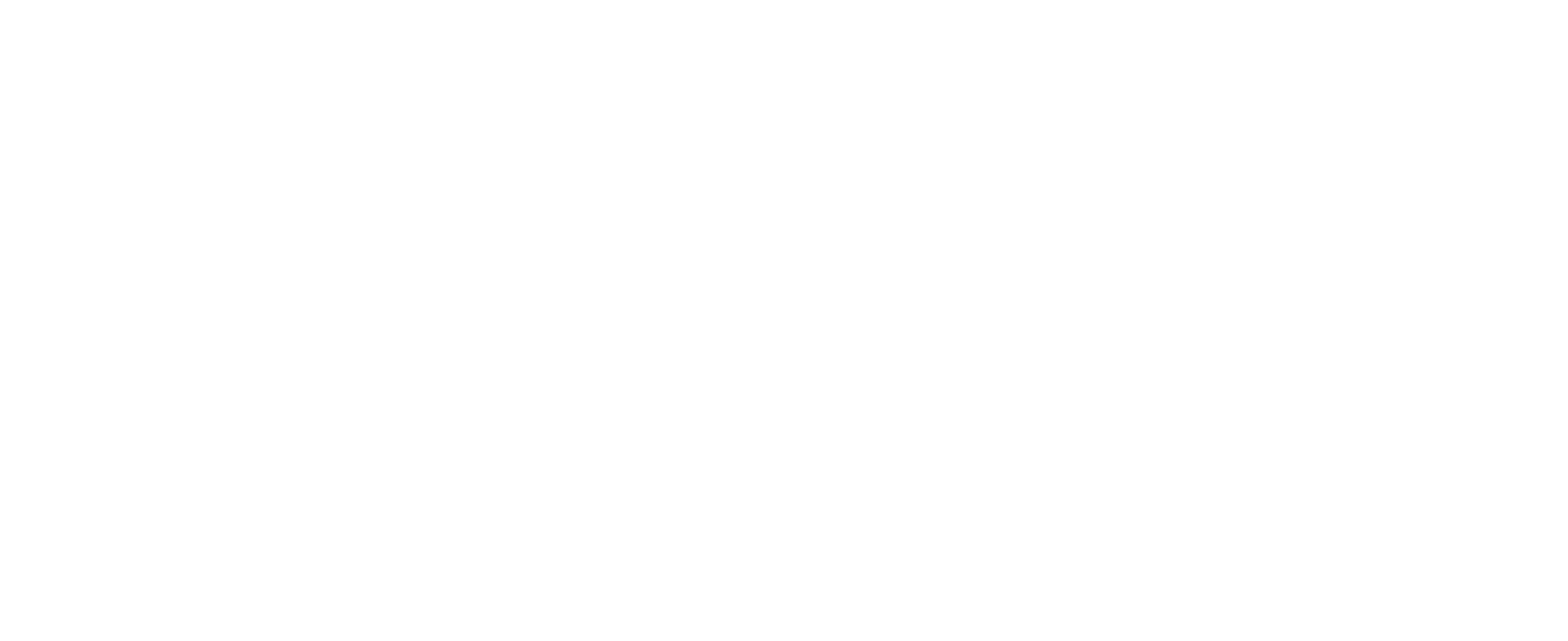 Next Level Coach AI